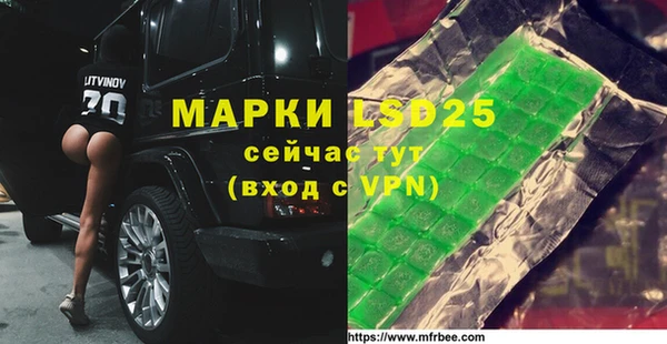 индика Бежецк